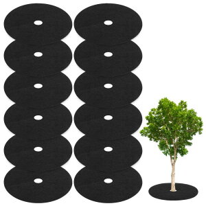 M METERXITY 12pbN sDzc[ Jo[O 32.2" c[veN^[EB[ht@ubNJo[ K[fc[}`O/hXP[vt@ubNiEhj