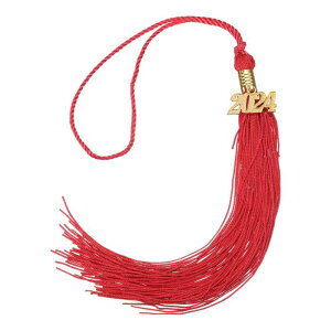 uxcell 2024Nƃ^bZ 2024NFtƖX^bZ DIYp Ǝp[eB[TLOi ƖXfR[V 