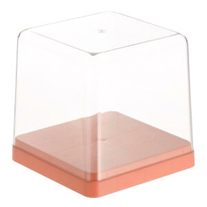 uxcell IWANfBXvCP[X 5x5x5" l`[{bNX gݗĎho[I[KiCU[V[P[X RN^[ANVtBMAp