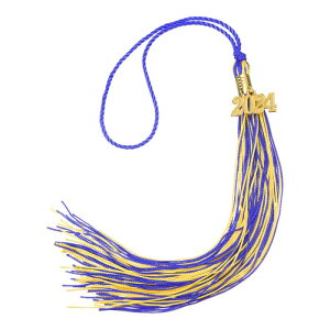 uxcell 2024Nƃ^bZ 2024N  t _uJ[ƃLbv^bZ DIYp ƃp[eB[ T ƖXq  p[vCG[