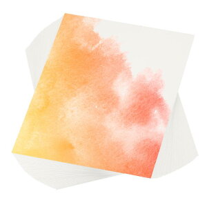 PATIKIL 300  110lb/230 GS M A[gyCgp 8x10"