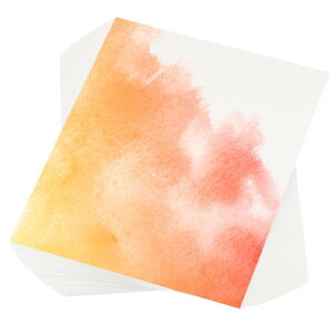 yԌ10OFFzPATIKIL 100  140lb/300 GS M A[gyCgp 8x10"