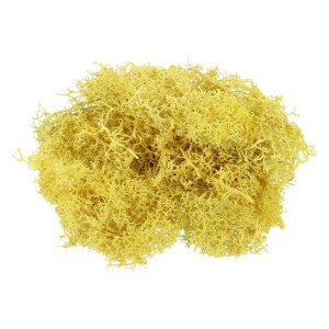 PATIKIL 7IX tFCNX ۑꂽgiJCplH tFCNX  A Ԓd Ntg ƒ ItBX |pIȑp CG[ t