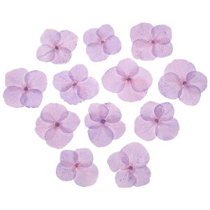 PATIKIL  WDIYNtgp48 lCA[g J[h XNb vubLO ΃CLO t[fR[V LhfR[V Cgp[v