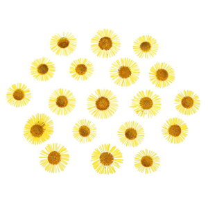 PATIKIL  DIYNtgp60 lCA[g J[h XNb vubLO ΃CLO   LhfR[V CG[