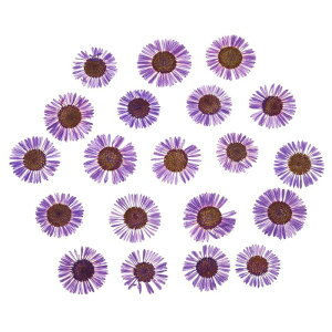 PATIKIL  DIYNtgp60 lCA[g J[h XNb vubLO ΃CLO   LhfR[V p[v