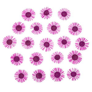 PATIKIL  DIYNtgp60 lCA[g J[h XNb vubLO ΃CLO   LhfR[Vp [Ybh