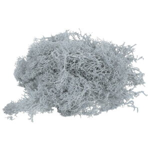 PATIKIL 3.5IX tFCNX ۑꂽgiJCX lHXPZ^[s[XfR[V |bgAp ͑X NX}XNtg CgO[