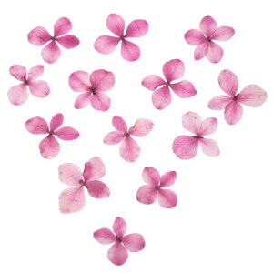 PATIKIL  WDIYNtgp48Zbg lCA[g J[h XNb vubLO ΃CLO t[fR LhfR p[vbh