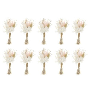 PATIKIL ~jԑ 10 ppXOX R 쐶  st  xr[uX {w ~A A  Ntg DIY ʐ^ 蕨 EFfBO sN