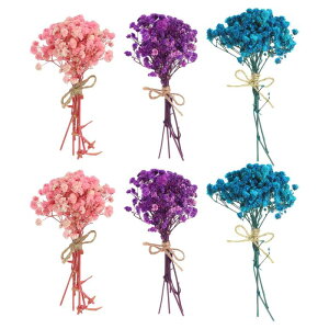 PATIKIL ~jԃu[P 6 xr[YuXVR쐶 ԑ XefR{zԐA NtgDIYtHgvbvMtgEFfBOfR[V sN/[Yp[v/u[