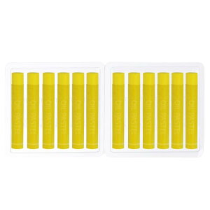 PATIKIL CG[ ICpXe 12 \tgICN N[~[pXe XeBbN A[g G ` ufBO p A[eBXg Sҗp