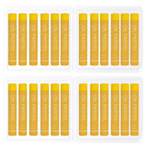 PATIKIL CF[ ICpXe 24 \tgICN N[~[pXe XeBbN A[g G ` ufBO p A[eBXg Sҗp