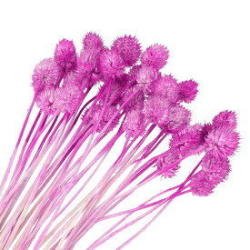 PATIKIL 16" 花瓶用乾燥花 30個 ミニパインボールフラワー 自然な花束 バルクフォールドライドパインボール ホームウェディング デコパーティー用 ローズレッド（茎）