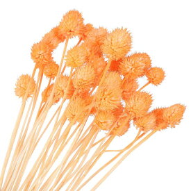 PATIKIL 16" 花瓶用乾燥花 30個 ミニパインボールフラワー 自然な花束 バルクフォールドライドパインボール ホームウェディング デコパーティー用 オレンジ（茎）