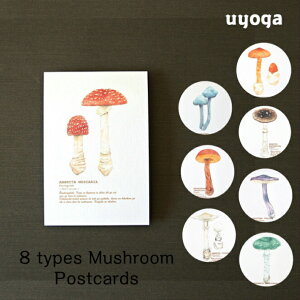 mmocoliern}ӕ ̂̃|XgJ[h 7 / |XgJ[h J[h ͂ nKL t Gt CeA A[g [ ʂ킢 ̂G ̂ LmR G