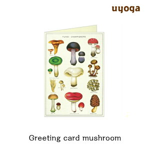 O[eBOJ[h yCAVALLINI&Co.z A LmR / J[h v[g bsO fR[V  XNbvubLO ̂ G݁ŷG݁z