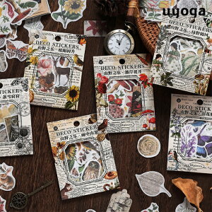 V[ XV[Y 60 4type/ RNV AeB[N xjeO^P   A\[g }bV[ 킢 g re[W fR[V bsO zr[ ̂ G݁y