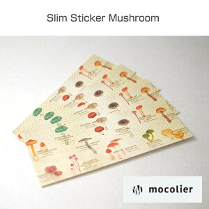 mmocoliern̂̃XXebJ[ / l  킢 Xe[Vi[ Ntg 莆 ւ V[   } R[W fR[V ̂ G ̂G