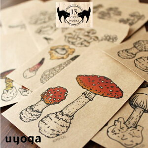 y13.CATS.WORKSzLmR}ӃV[Y |` 2type/ ̂ LmR L lR |` N bsO [ Xe[Vi[LbY xr[ɂ Y ObYyLmRG݁z