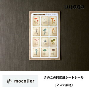 mmocoliern̂̐}ӕV[gV[k}Xefށl / }XLOe[v }Xe V[ fRV[ fR[V XNbvubN l  킢 Xe[Vi[ Ntg 