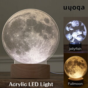 yFun SciencezANLEDCg@E炰 /  NQ C CeA Cg Ɩ C~l[V i` IuWF k  킢 v[g Mtg u yCe