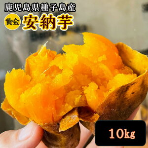 安納黄金いも 種子島産 3kg〜10kg Sサイズ