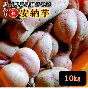 [g@󂠂@qY@3kg`10kg@TCYF2S`2L~bNX