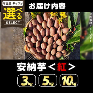 [g@уTCY@3kg`10kg@qY