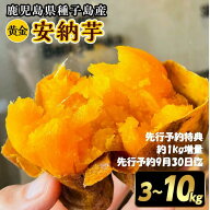 先行予約！　希少品種 安納黄金いも　種子島産　3kg～10kg　先行予約特典1kg増量