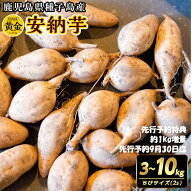 先行予約！希少品種 安納黄金いも　2Sチビサイズ　種子島産　3kg～10kg　先行予約特典1kg増量