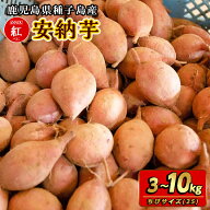 先行予約！安納紅いも　ちびサイズ　3kg～10kg　種子島産　先行予約特典1kg増量
