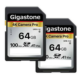 Gigastone SDカード 64GB 2枚セット メモリーカード A1 V30 U3 Class 10 SDXC 高速 4K UHD & Full HD ビデオ Canon Nikon など デジタルカメラ 一眼レフ対応 ミニケース2
