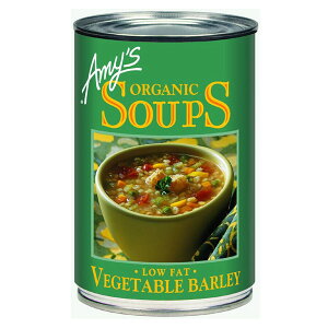 Amy's�i�G�C�~�[�Y�j �L�@�x�W�^�u���o�[���[�E�X�[�v 400g