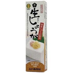 ムソー 旨味本来・生おろししょうがチューブ 40g
