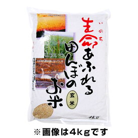 生命あふれる田んぼのお米 ひとめぼれ 玄米 4kg 令和5年産