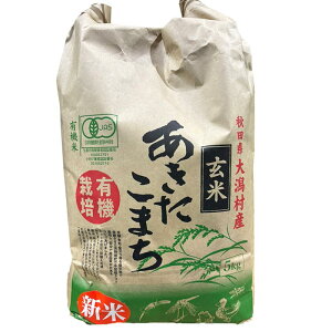 肳̂ Hc܂  5kg yߘa7NYz