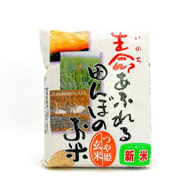 生命あふれる田んぼのお米 玄米 つや姫 2kg