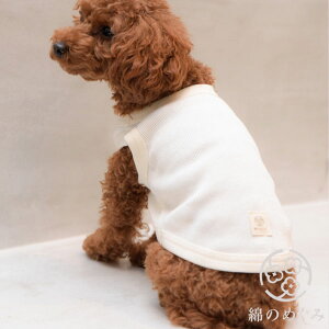 XC Ȃ̂߂ pI[KjbNRbgEFA STCY