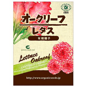 i`CtXe[V L@q I[N[t^X 330