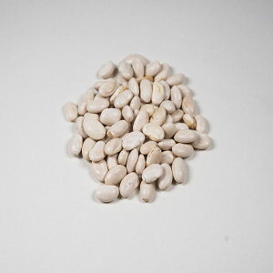 ALISHANiATj L@O[gm[Ur[Y@Ɩp 11.33kg