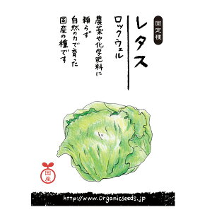 i`CtXe[V YER_@q ^X/bNEF 2`4/8`10܂ 120