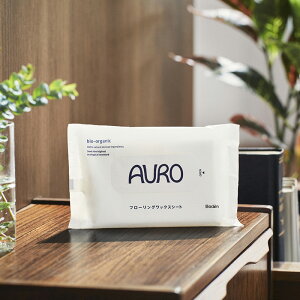AURO(AEj t[ObNXV[g 10