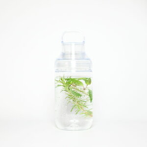 EMBALANCE ON THE GO BOTTLEiGoX IUS[{gj 700ml/NA