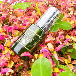 mOrganicsiGI[KjNXj ԏ@veNgPAIC 30ml