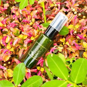 mOrganicsiGI[KjNXj ԏ@oXGA~Xg 50ml yΖZ[3ǉz