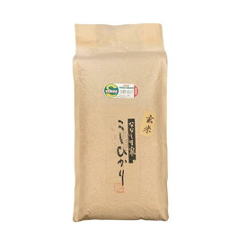 ななしま家 こしひかり 玄米 5kg 【令和7年産】