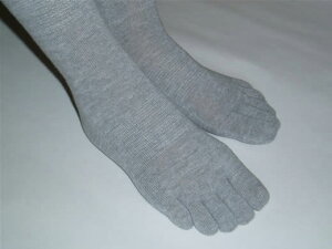 5�{�w�\�b�N�X 24�`27cm