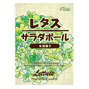 i`CtXe[V L@q ^X T_{[ 240