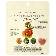 たかくら新産業　だいじょうぶなもの 百年はちみつグミ シーベリー味/49g